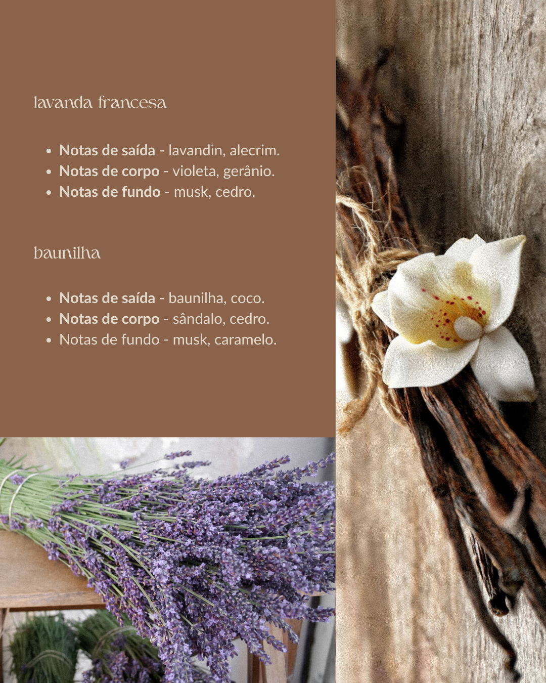 Vela Aromática Lavanda Francesa & Baunilha